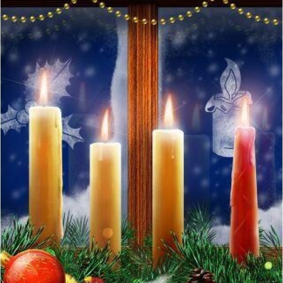 MEET YOUR POSHER, JULIA - Picture 3 of 15